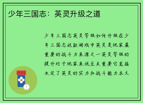 少年三国志：英灵升级之道